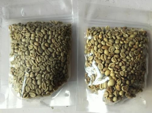Premium Robusta Coffee Beans – High-Caffeine, Export Quality