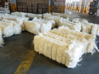 SSUG Grade Sisal Fiber – High-Tensile Natural Fiber for Industrial Use