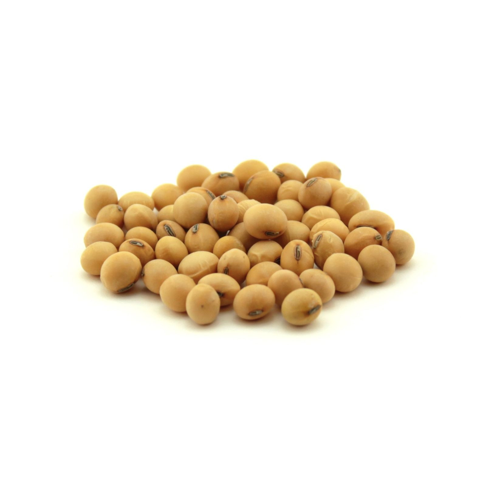 High-Quality Soybean Seeds – Certified for Industrial and Agricultural Use