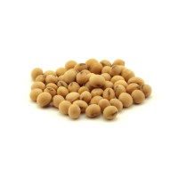 High-Quality Soybean Seeds – Certified for Industrial and Agricultural Use