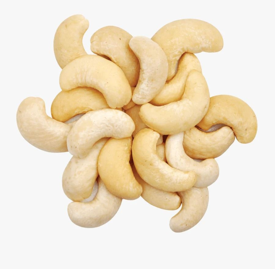 Premium Quality Cashew Nuts – Raw, Roasted, and Processed
