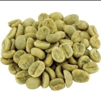Premium Robusta Coffee Beans – Bold Flavor & High Caffeine Content