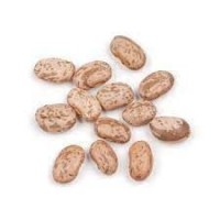 Premium Quality Pinto Beans – Nutritious, Clean & Export Grade