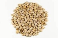 Premium Quality Pinto Beans – Nutritious, Clean & Export Grade