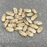 Premium Quality Pinto Beans – Nutritious, Clean & Export Grade