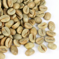 Premium Robusta Coffee Beans – High-Caffeine, Export Quality