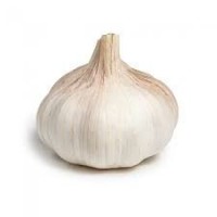 Fresh Clove Garlic – Premium Grade for Culinary and Medicinal Use
