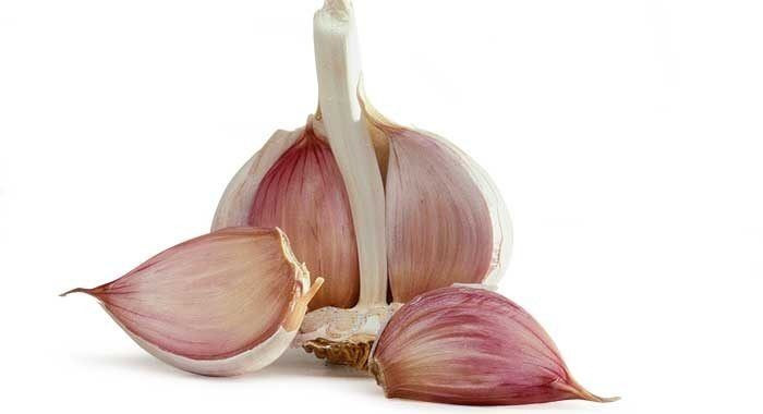 Fresh Clove Garlic – Premium Grade for Culinary and Medicinal Use