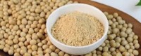 High-Protein Soybean Meal – Premium Animal Feed Grade