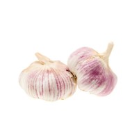 Fresh Clove Garlic – Premium Grade for Culinary and Medicinal Use