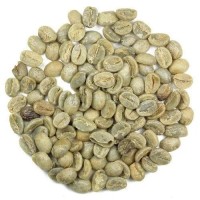 Premium Robusta Coffee Beans – Bold Flavor & High Caffeine Content