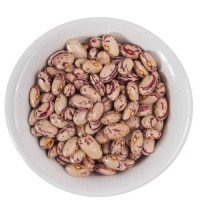 Premium Quality Light Speckled Kidney Beans (LSKB) – High Protein, Clean & Export Grade
