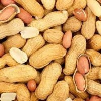 Premium Grade Raw Peanut Kernels – Various Sizes & Packaging Available