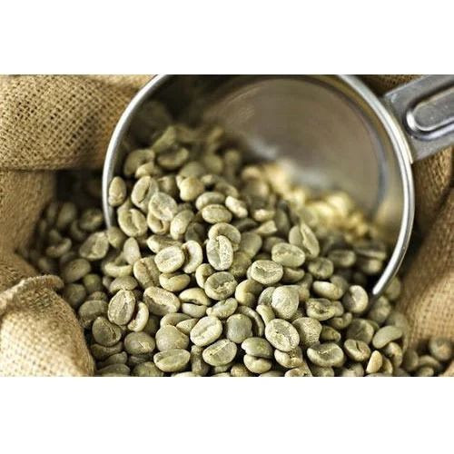 Premium Robusta Coffee Beans – Bold Flavor & High Caffeine Content