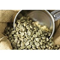 Premium Robusta Coffee Beans – Bold Flavor & High Caffeine Content