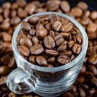 Premium Arabica Coffee Beans – Smooth Flavor with Rich Aroma