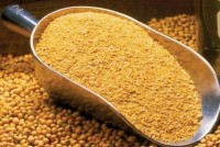 High-Protein Soybean Meal – Premium Animal Feed Grade