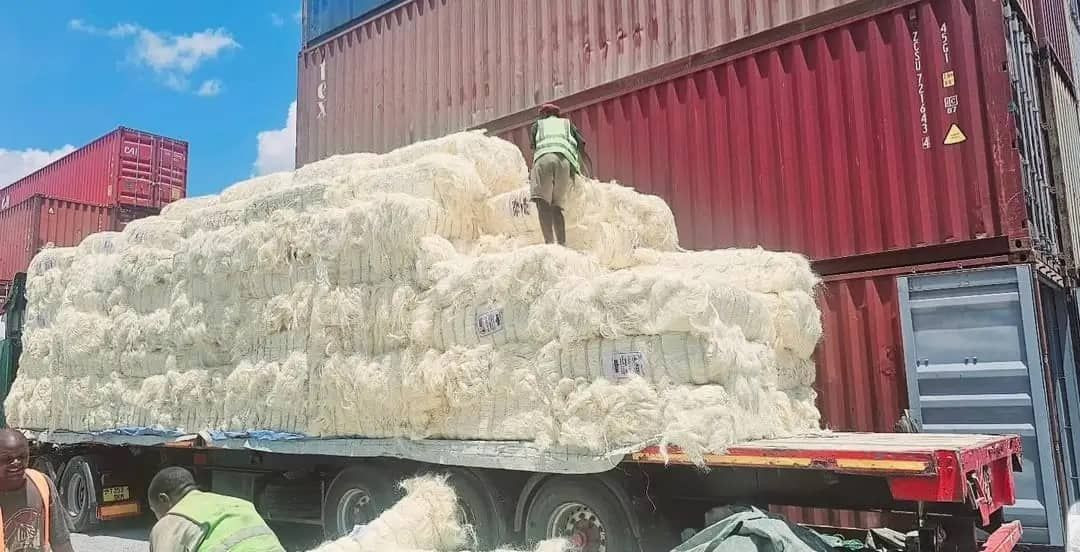SSUG Grade Sisal Fiber – High-Tensile Natural Fiber for Industrial Use