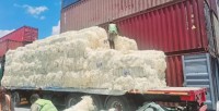 SSUG Grade Sisal Fiber – High-Tensile Natural Fiber for Industrial Use