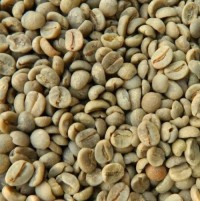 Premium Robusta Coffee Beans – High-Caffeine, Export Quality