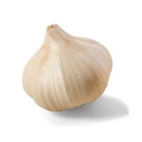 Fresh Clove Garlic – Premium Grade for Culinary and Medicinal Use