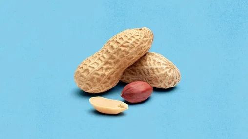 Premium Grade Raw Peanut Kernels – Various Sizes & Packaging Available