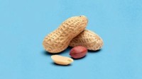 Premium Grade Raw Peanut Kernels – Various Sizes & Packaging Available