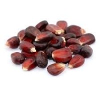 Premium Grade Red Corn / Red Maize – Naturally Grown, Nutrient-Rich, and Versatile