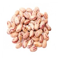 Premium Quality Light Speckled Kidney Beans (LSKB) – High Protein, Clean & Export Grade