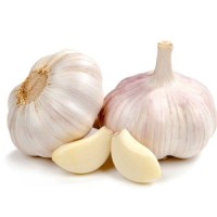 Fresh Clove Garlic – Premium Grade for Culinary and Medicinal Use