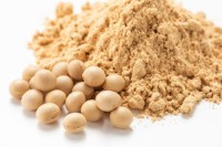 High-Protein Soybean Meal – Premium Animal Feed Grade